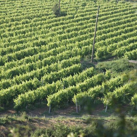 Apartmani Dienes Novi Vinodolski Εξωτερικό φωτογραφία