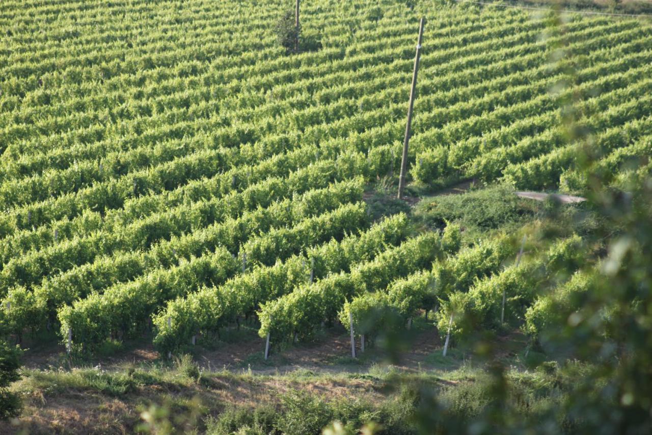 Apartmani Dienes Novi Vinodolski Εξωτερικό φωτογραφία